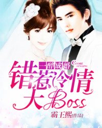 一醉成婚：錯惹冷情大boss